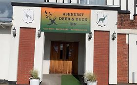 Ashhurst Deer N Duck Inn